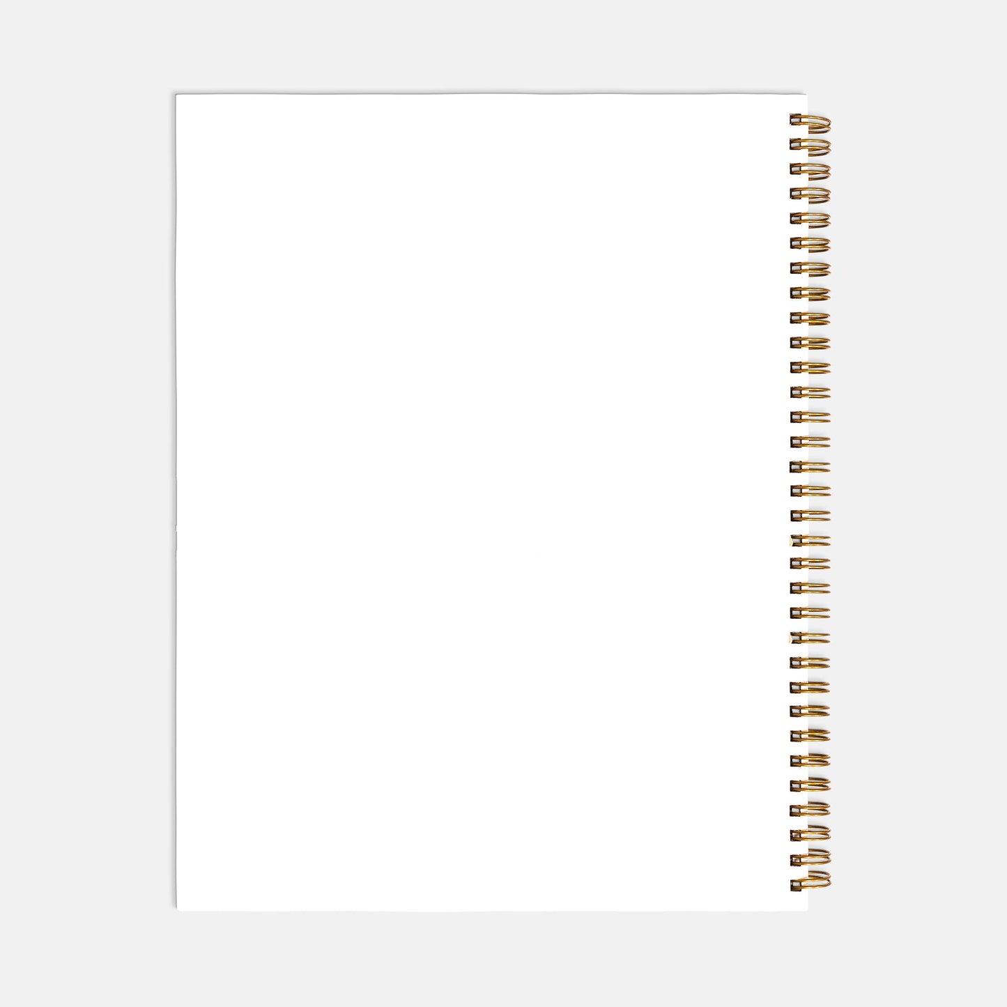 Sips & Pages Notebook Softcover Spiral 8.5 x 11